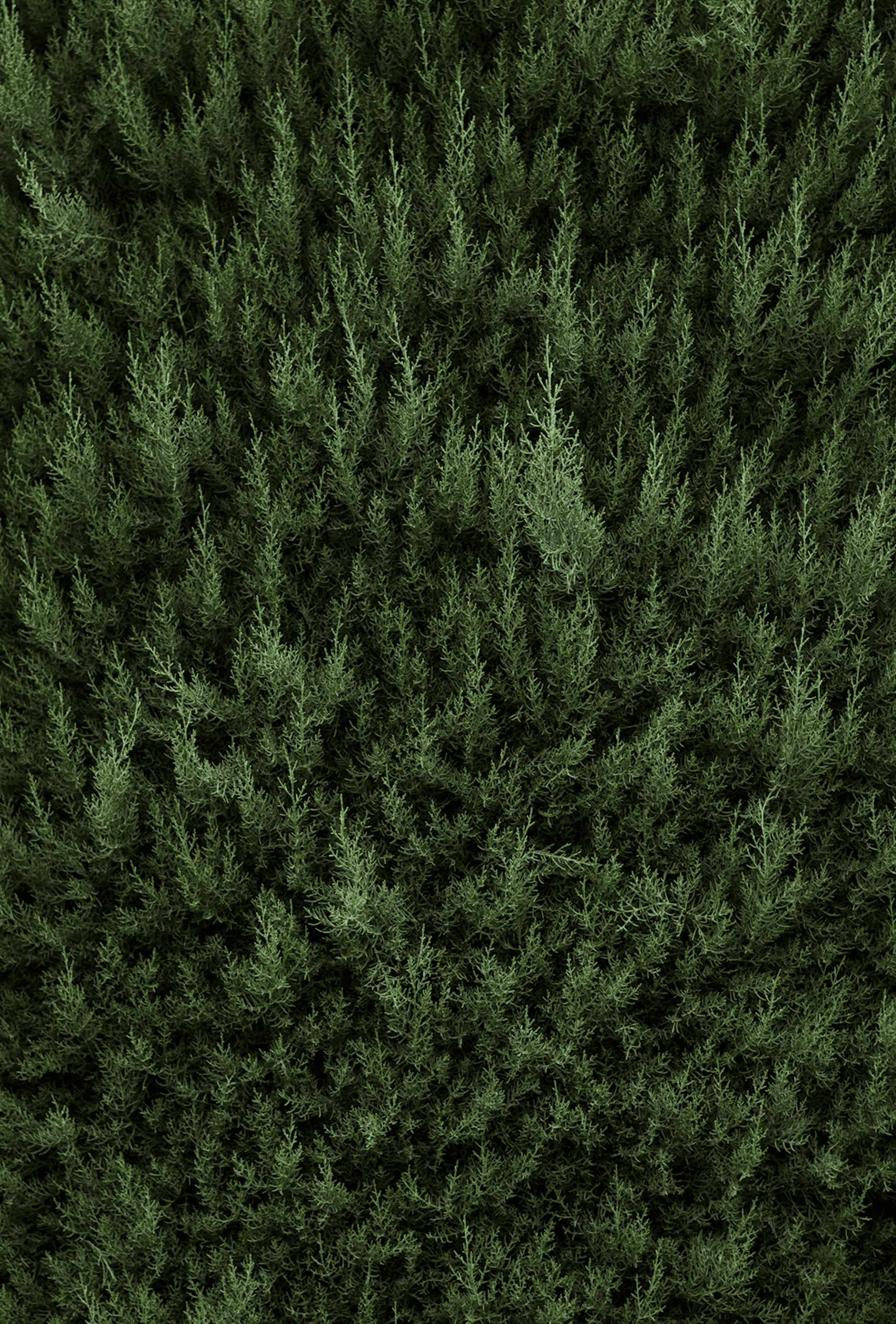 Team learning structured ideation and prototyping at an Outset event