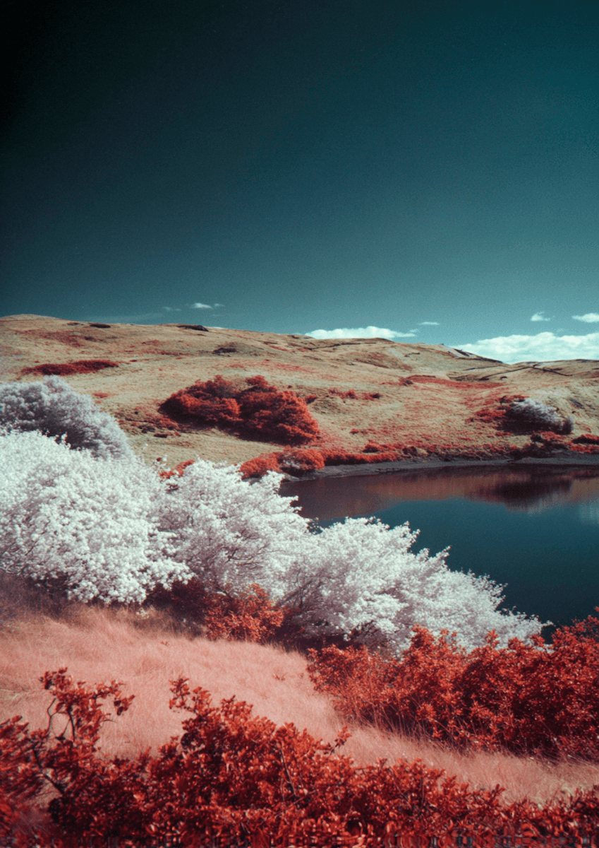 Company annual event redesigned as an interactive innovation session